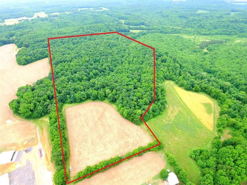 Turkey Creek Tract : Elkmont : Limestone County : Alabama