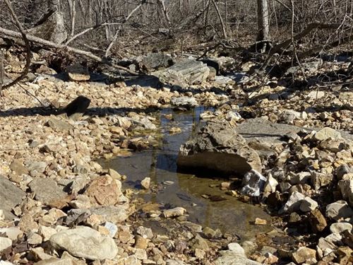 Homestead Friendly 5+ Acres : Mansfield : Wright County : Missouri