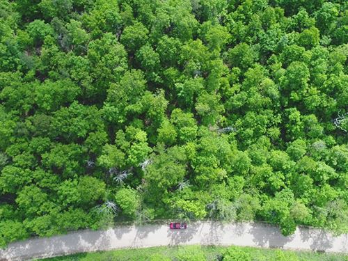 Owner Financed Acreage in Swmo : Birch Tree : Shannon County : Missouri