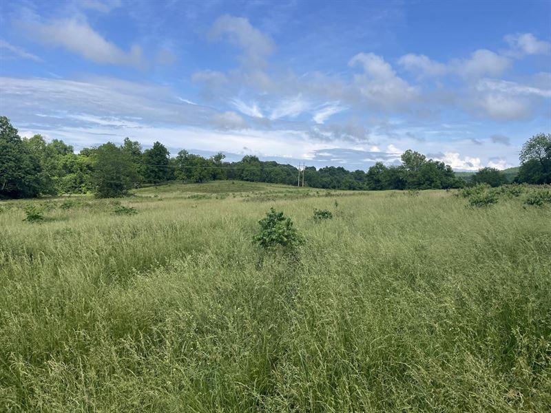 92 Acres, Pasture & Mature Timbe : Ash Flat : Sharp County : Arkansas