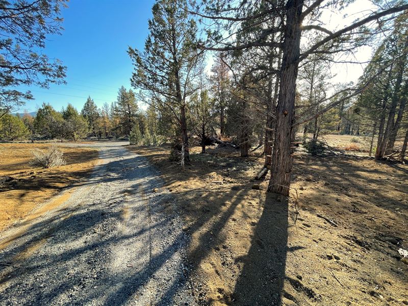 Level, Nicely Treed Parcel, Power : Chiloquin : Klamath County : Oregon