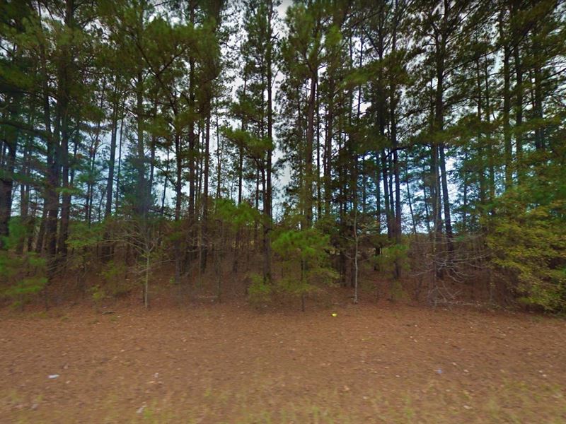 .14 Acre in Harleton, $200/Mo : Harleton : Harrison County : Texas