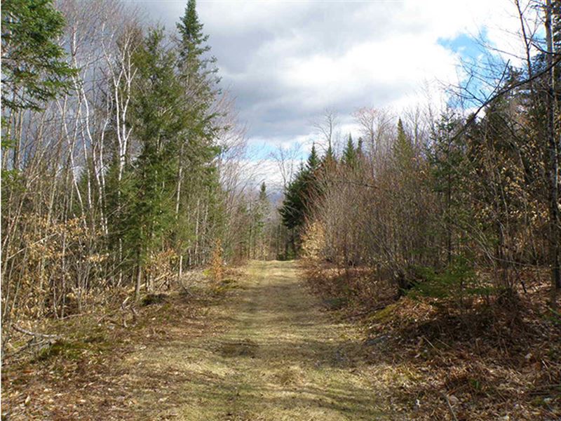 St. J Forest, Twin Brooks Parcel : East Saint Johnsbury : Caledonia County : Vermont