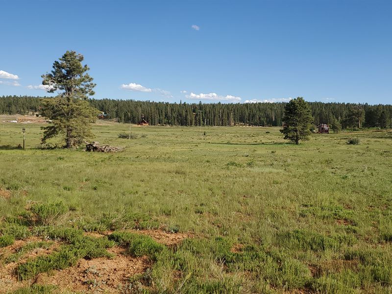 .84 Acre Surrounded by Nature : Duck Creek Village : Kane County : Utah