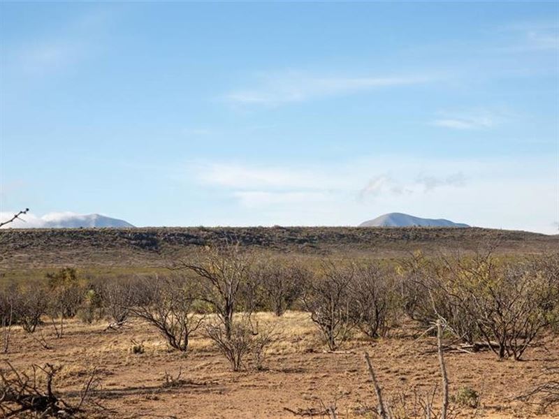 Riverview/Road Frontage Texas Rio : Van Horn : Hudspeth County : Texas