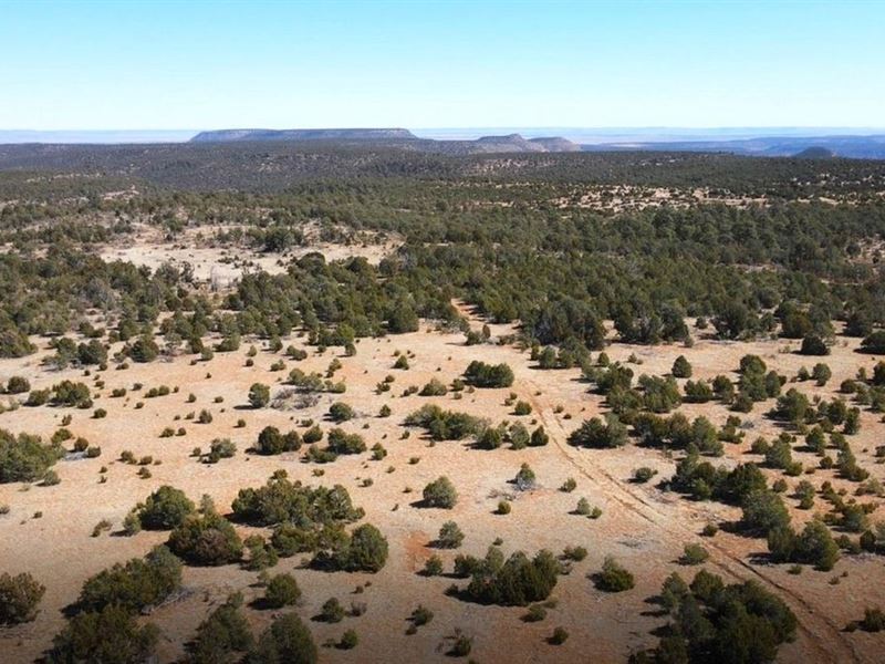 Sabinoso 464 Ranch : Trujillo : San Miguel County : New Mexico