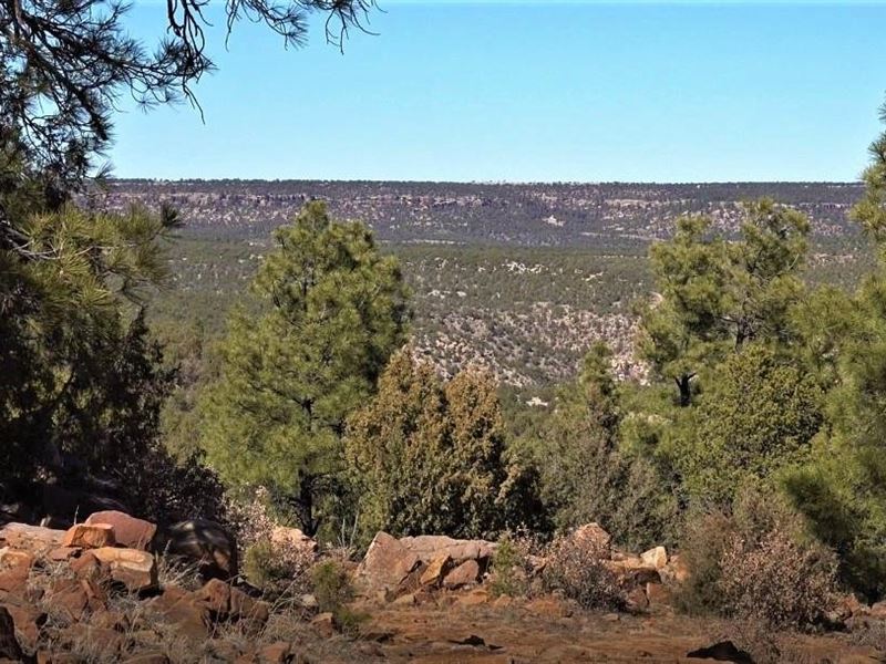 Sabinoso 661 Ranch : Trujillo : San Miguel County : New Mexico