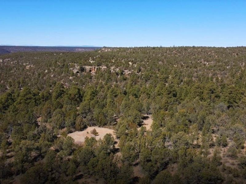 Sabinoso 987 Ranch : Trujillo : San Miguel County : New Mexico