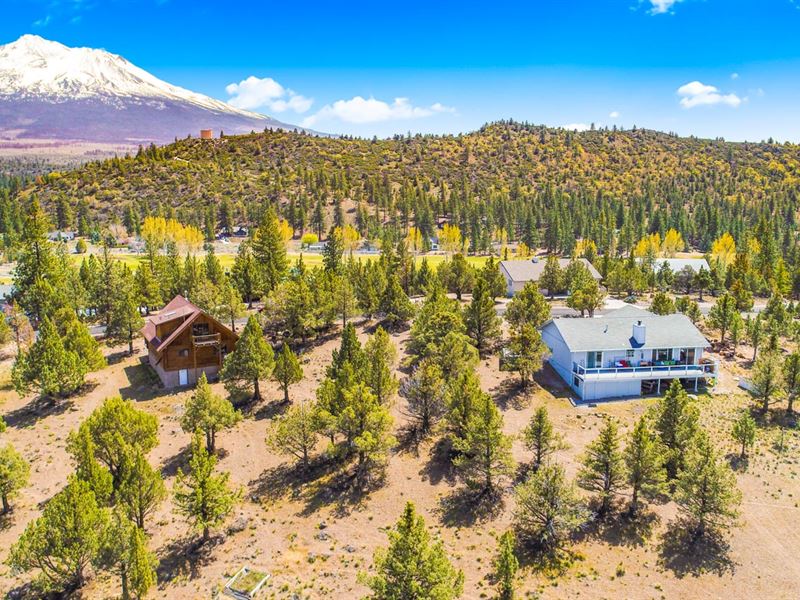 Treed 0.46 Acre to Build : Weed : Siskiyou County : California