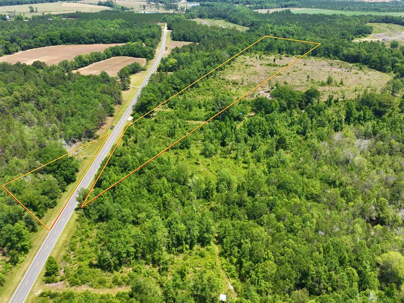 19+ Acres 0 Friendship Church Rd : Jacksonville : Telfair County : Georgia