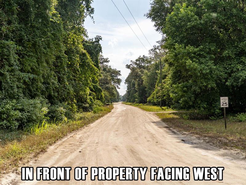 $9,900 Down Payment, Near Boat Ramp : Old Town : Dixie County : Florida