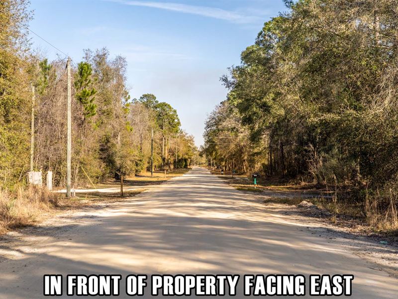 $7,900 Down, Homesite or RV Camp : O'brien : Suwannee County : Florida