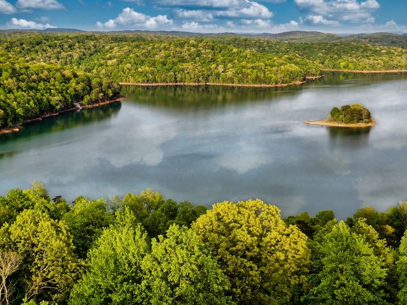 Wooded Water View Lot, Utilities : La Follette : Campbell County : Tennessee