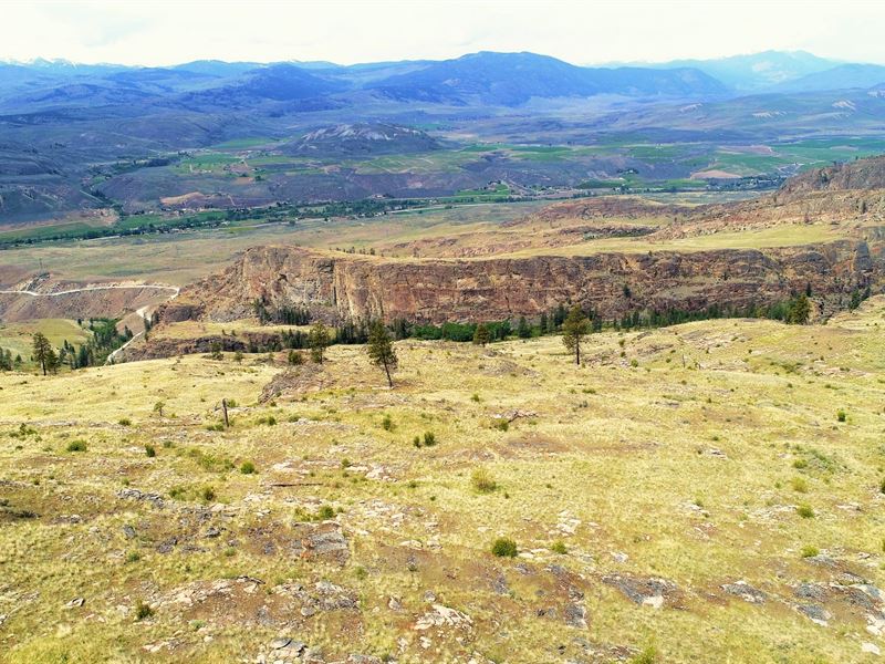 40 Acres Homesite Off Grid : Tonasket : Okanogan County : Washington