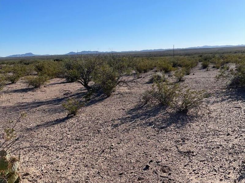 Riverview/Road Frontage Texas Rio : Van Horn : Hudspeth County : Texas