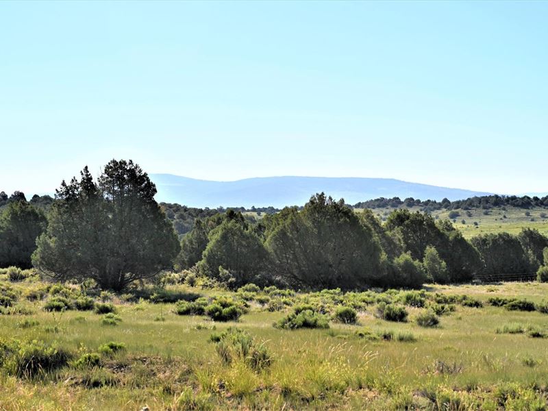 Laguna Vista 2.5 : Rutheron : Rio Arriba County : New Mexico
