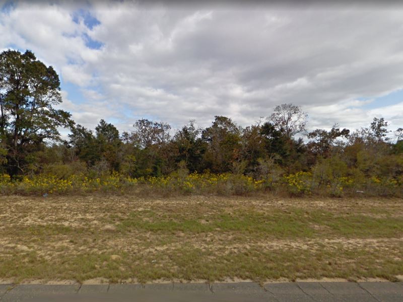 .62 Acre Lot for Sale in Chipley : Chipley : Washington County : Florida