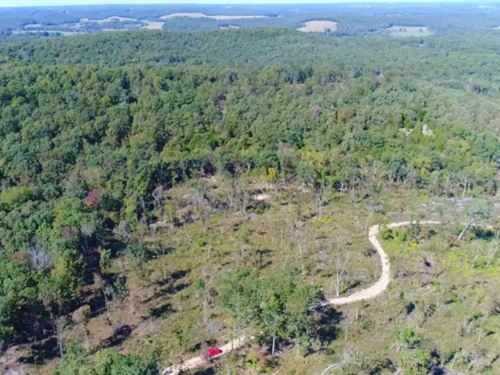 Homestead Friendly 5+ Acres : Mansfield : Wright County : Missouri