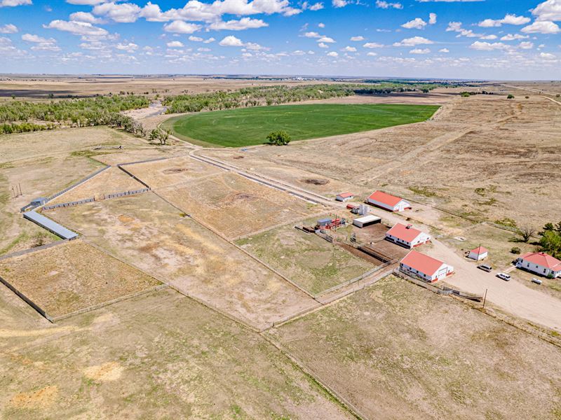 Acl Land & Cattle : Julesburg : Sedgwick County : Colorado