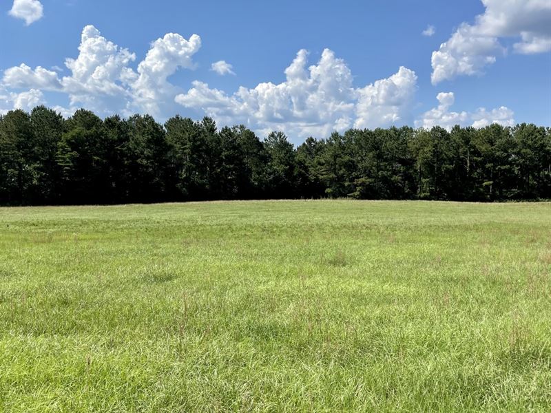 160 Acres Pike Co, AL : Goshen : Pike County : Alabama