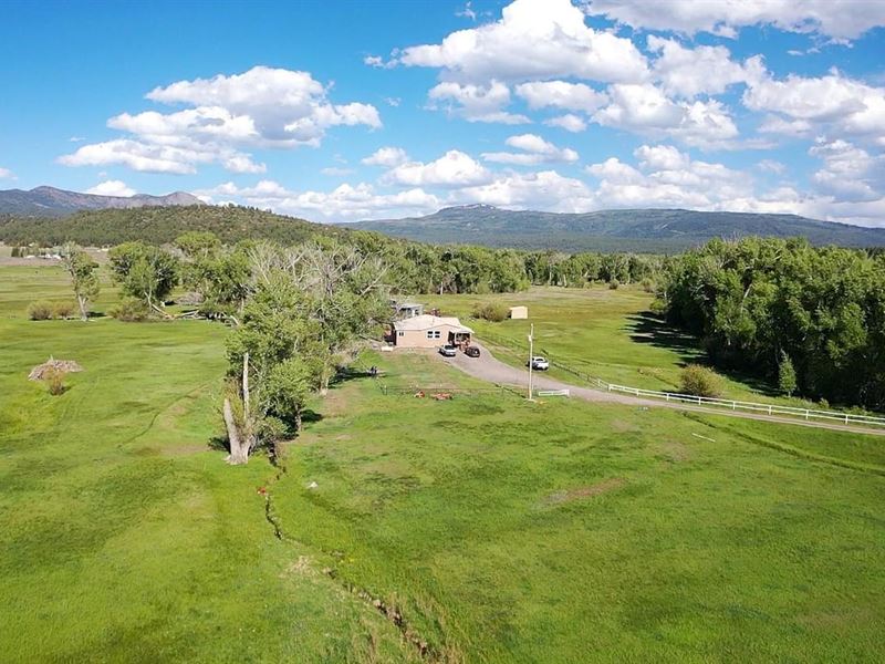 Los Brazos Home : Los Ojos : Rio Arriba County : New Mexico