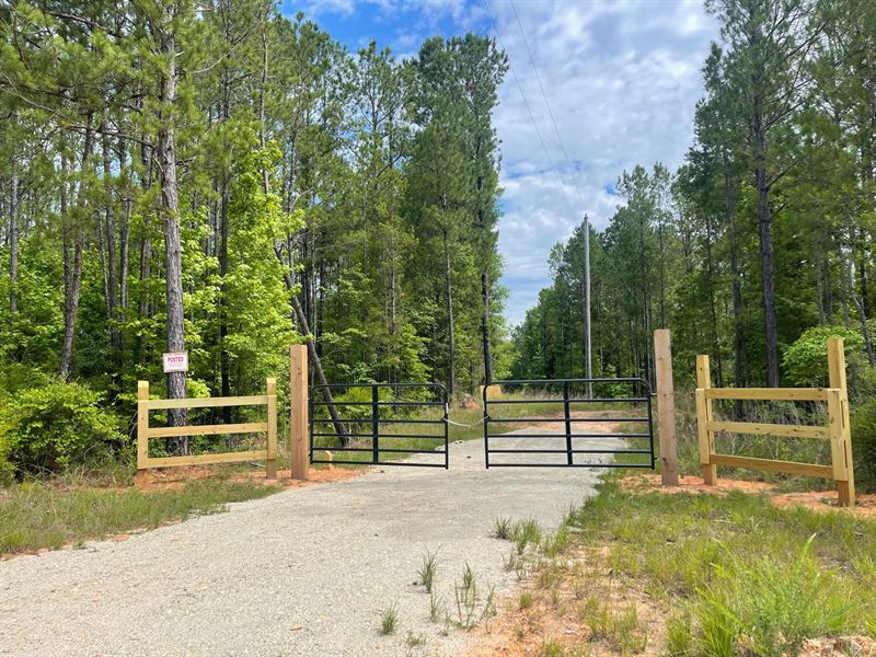 40 Acres in Chambers County : Camp Hill : Chambers County : Alabama