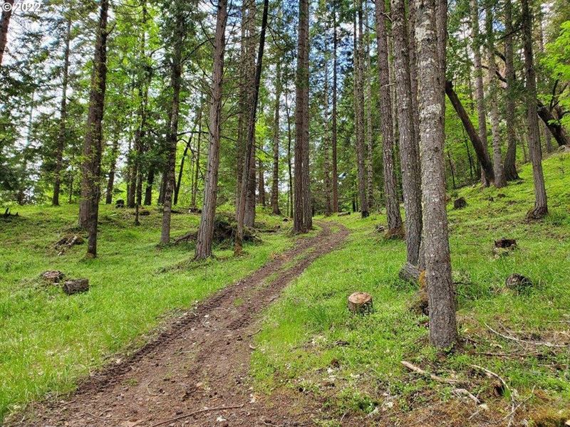 Beautiful Oregon Horse Property Wit : Camas Valley : Douglas County : Oregon