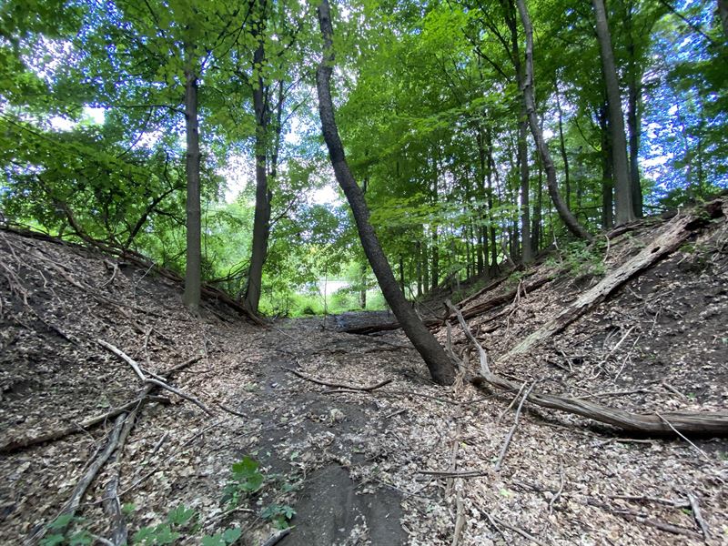 Three Unique Lots for Home Sites : Camillus : Onondaga County : New York