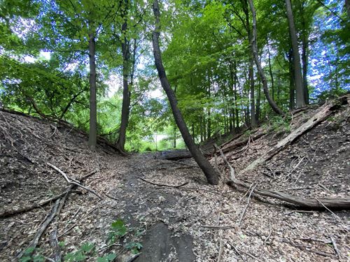 Three Unique Lots for Home Sites : Camillus : Onondaga County : New York