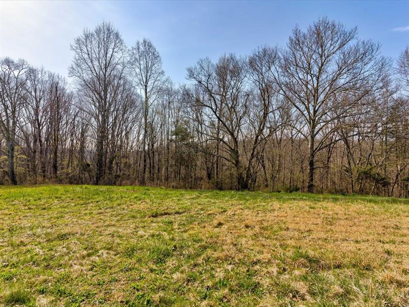 1.2 Acre Unrestricted Lot : Speedwell : Claiborne County : Tennessee