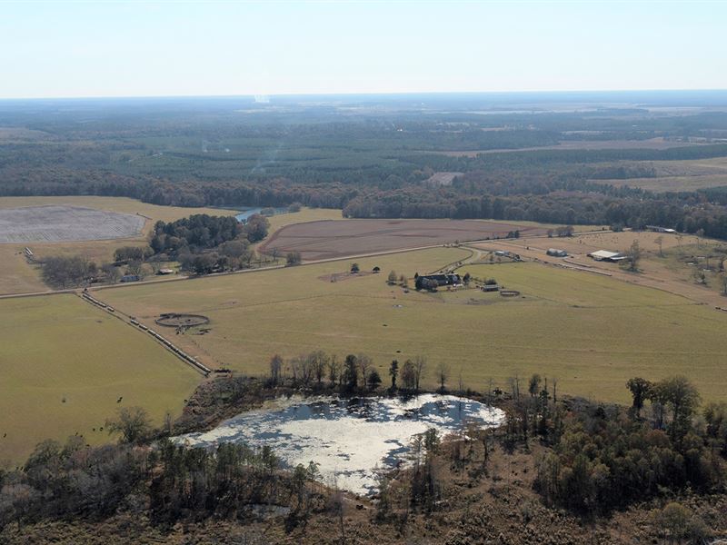 Central Georgia Ranch, 119 Acres : Byromville : Dooly County : Georgia