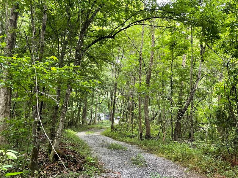 60 Acres Russell County, AL : 175 Osiwichee Road : Russell County : Alabama