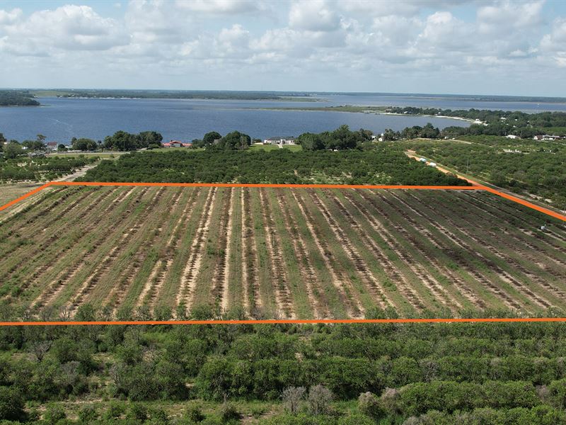 Babson Park Grove & Homesites : Babson Park : Polk County : Florida