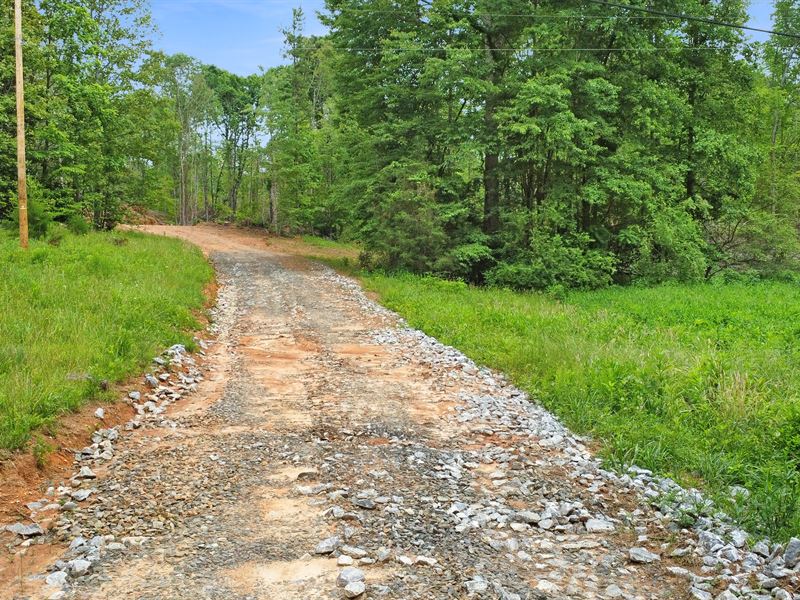 Magnolia Grove, 53+/- Rolling Acres : Martinsville : Henry County : Virginia