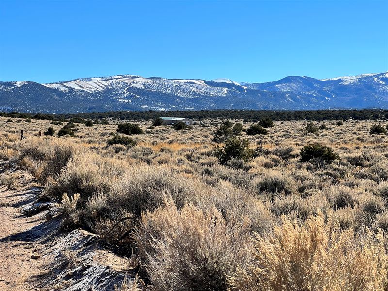 Perfect Spot for Your Dream Ranch : Fort Garland : Costilla County : Colorado