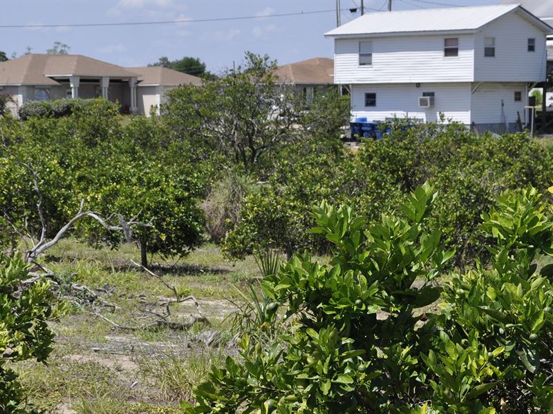 Frostproof Residential Development : Frostproof : Polk County : Florida