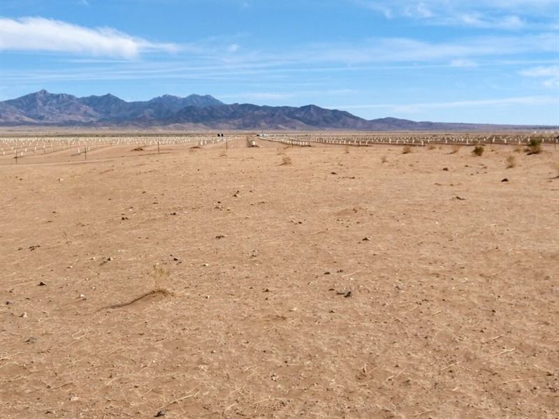 1.15 Acre with Lovely Mountain View : Kingman : Mohave County : Arizona