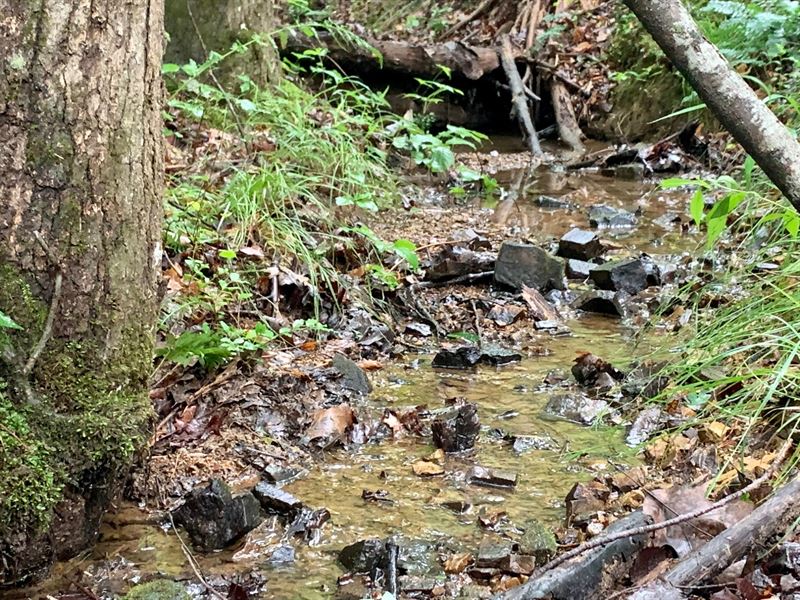 30.87 Ac Chattooga County, GA : Menlo : Chattooga County : Georgia