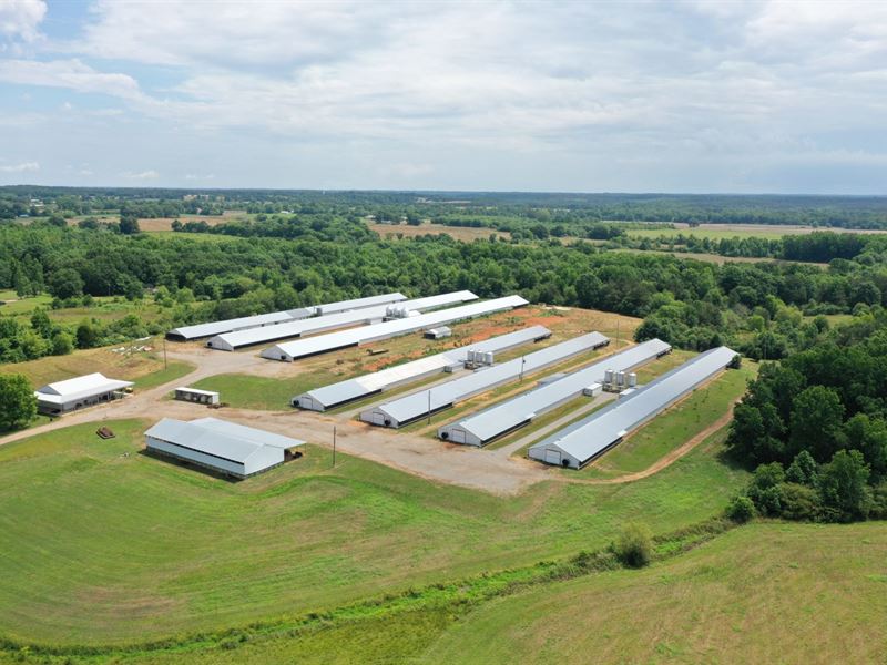 Austin Branch Broiler Farm : Phil Campbell : Marion County : Alabama
