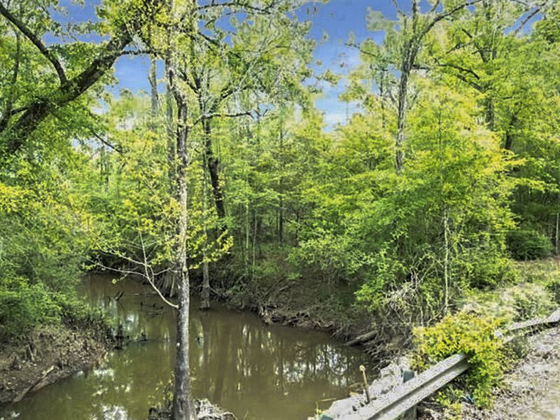Fantastic Acreage with Creek : Warren : Tyler County : Texas