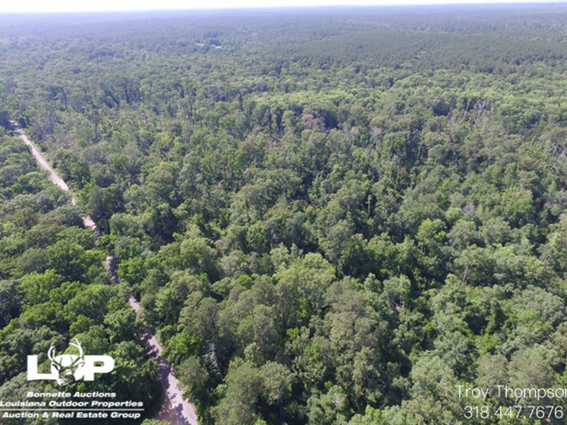 80+/- Acres in Kisatchie : Woodworth : Rapides Parish : Louisiana