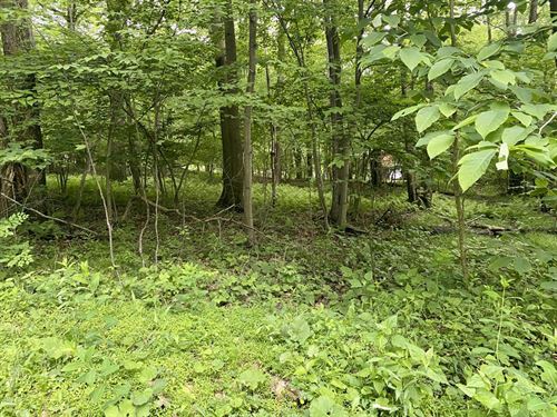 Matterhorn Rd, Boswell PA : Boswell : Somerset County : Pennsylvania