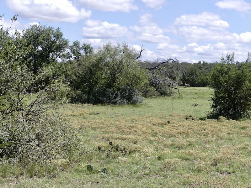 Brandon Ranch, Lot 61 : Menard : Schleicher County : Texas