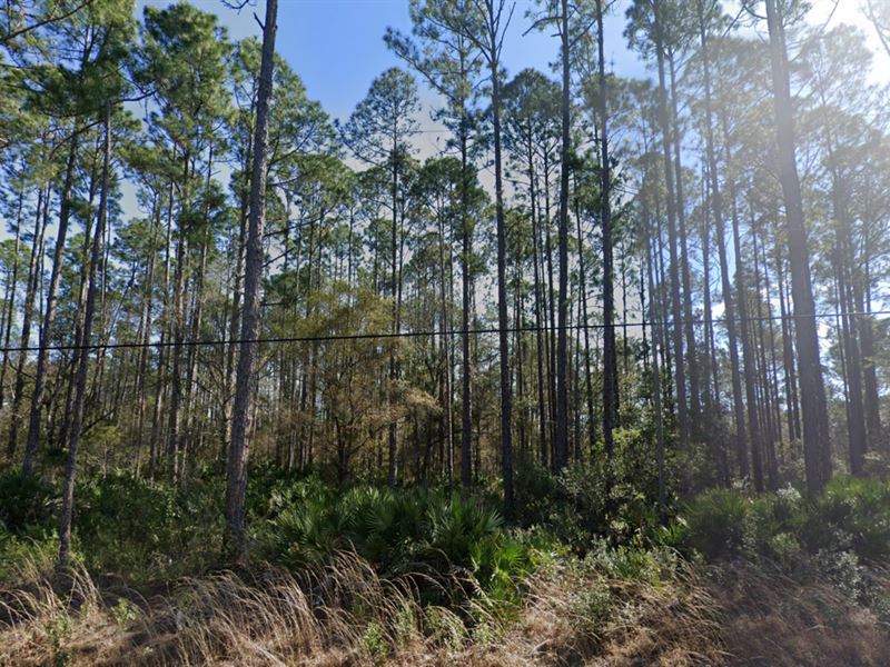 Flagler Estates, 99 Down Land for Sale by Owner in Hastings, Saint