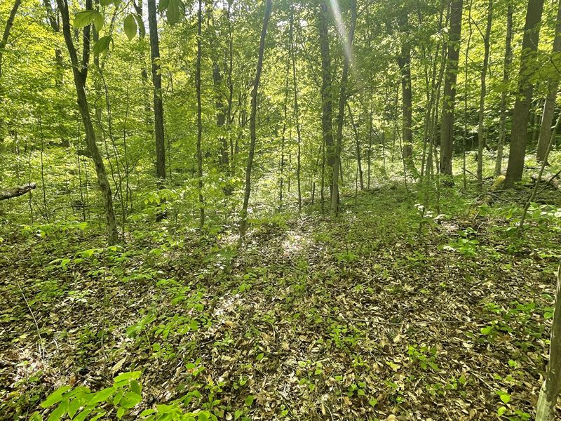 Washington County, Ohio Land : Newport : Washington County : Ohio