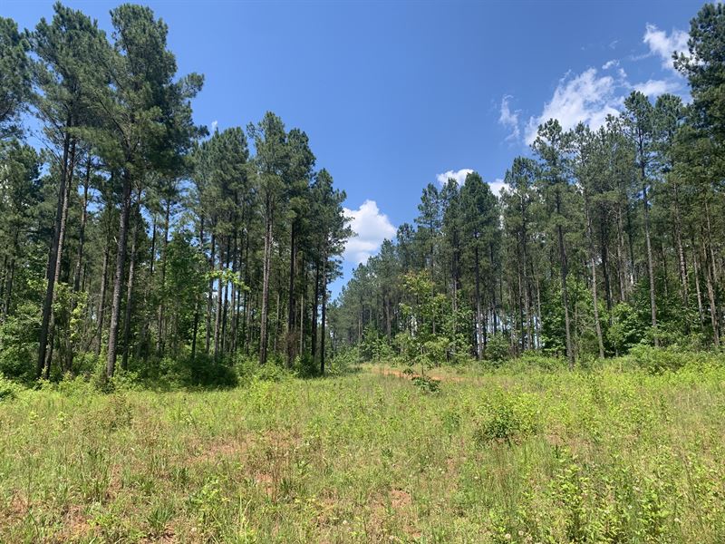 Farmington Tract : Greensboro : Greene County : Georgia