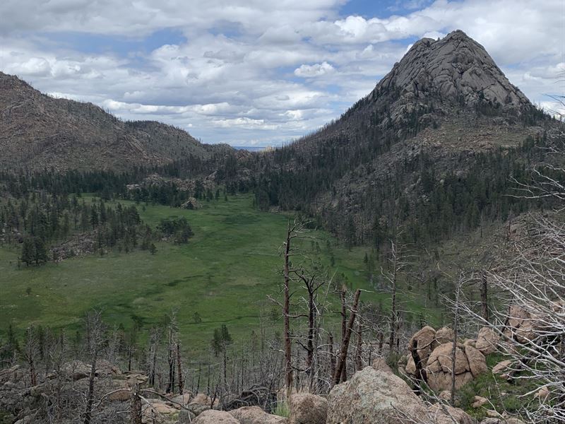 160Ac Grey Rock Meadow : Livermore : Larimer County : Colorado