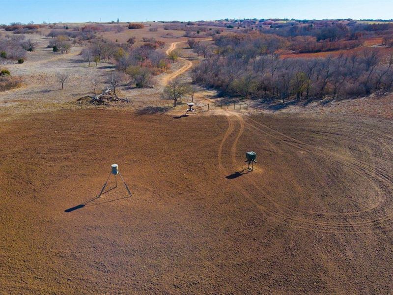 Wheeler County Hunting Land : Shamrock : Wheeler County : Texas