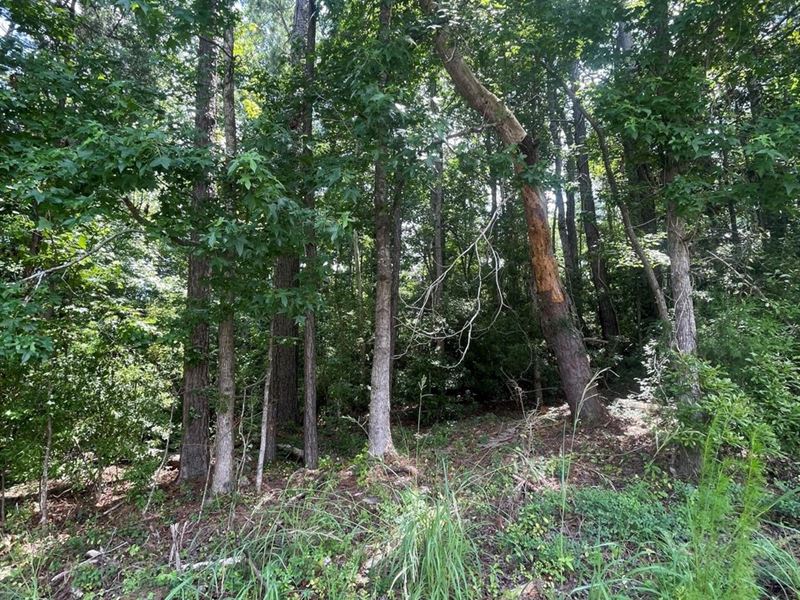Lot 11 Sunrise Drive : Eufaula : Barbour County : Alabama