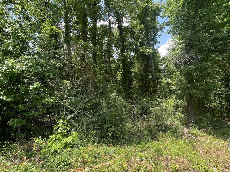 Lot 18 Clark Hill Drive : Eufaula : Barbour County : Alabama